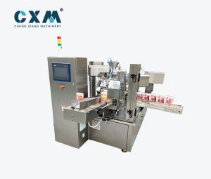CX-GDJ Auto premade bag packaging machine